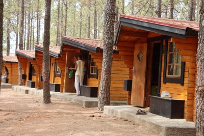 Imagen de la galería