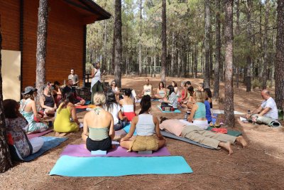 Imagen de la galería