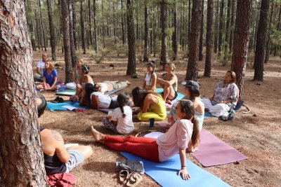 Imagen de la galería